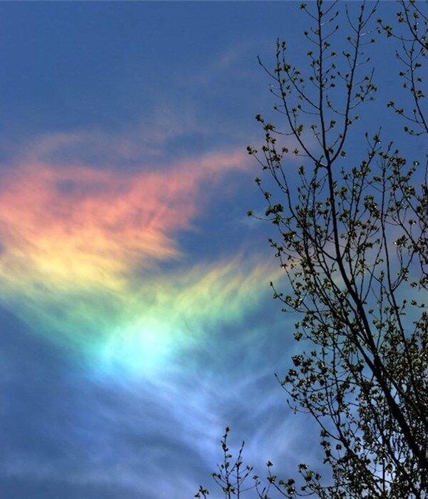 Источник: http://wynger.ru/wp-content/uploads/2015/01/ognennaya-raduga1.jpg