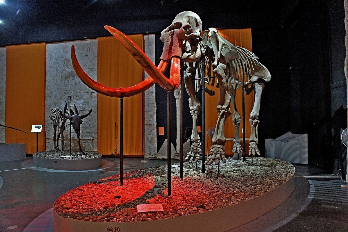 музей пермских древностей в перми. музей пермь режим работы. пермь достопримечательности музей пермских древностей. музей пермь режим работы. мамонт в перми краеведческий музей.