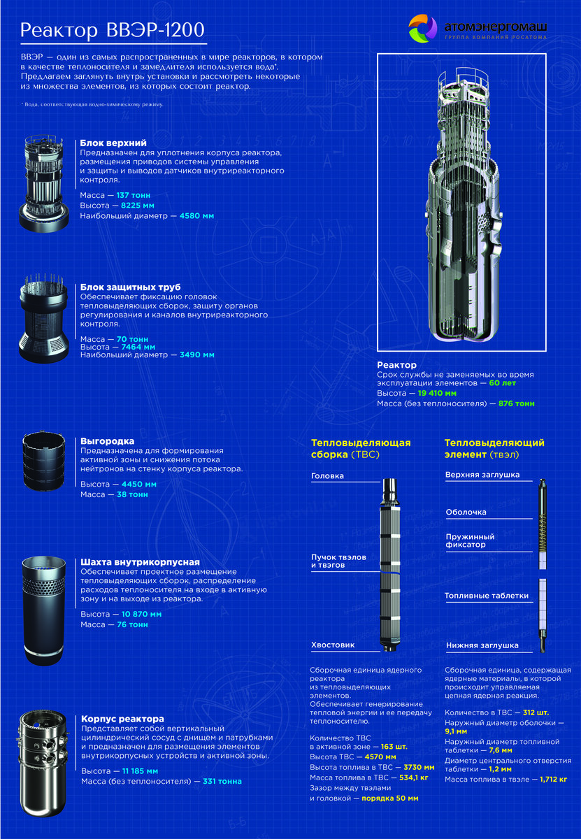 Как устроен реактор ВВЭР-1200. Источник: Атомэнергомаш