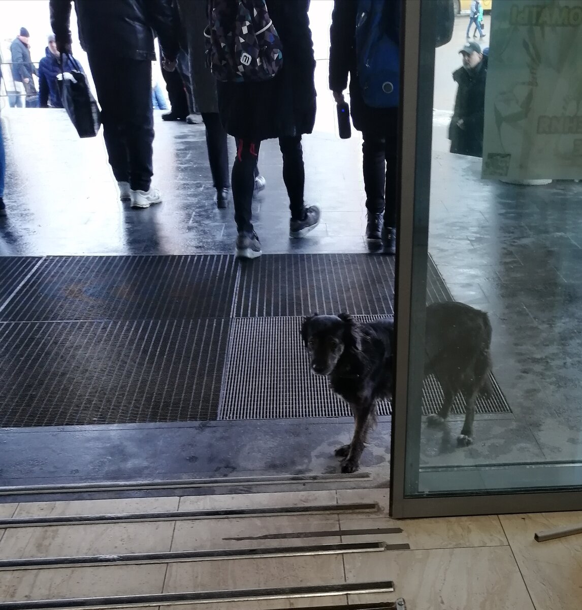 Фото сделано лично