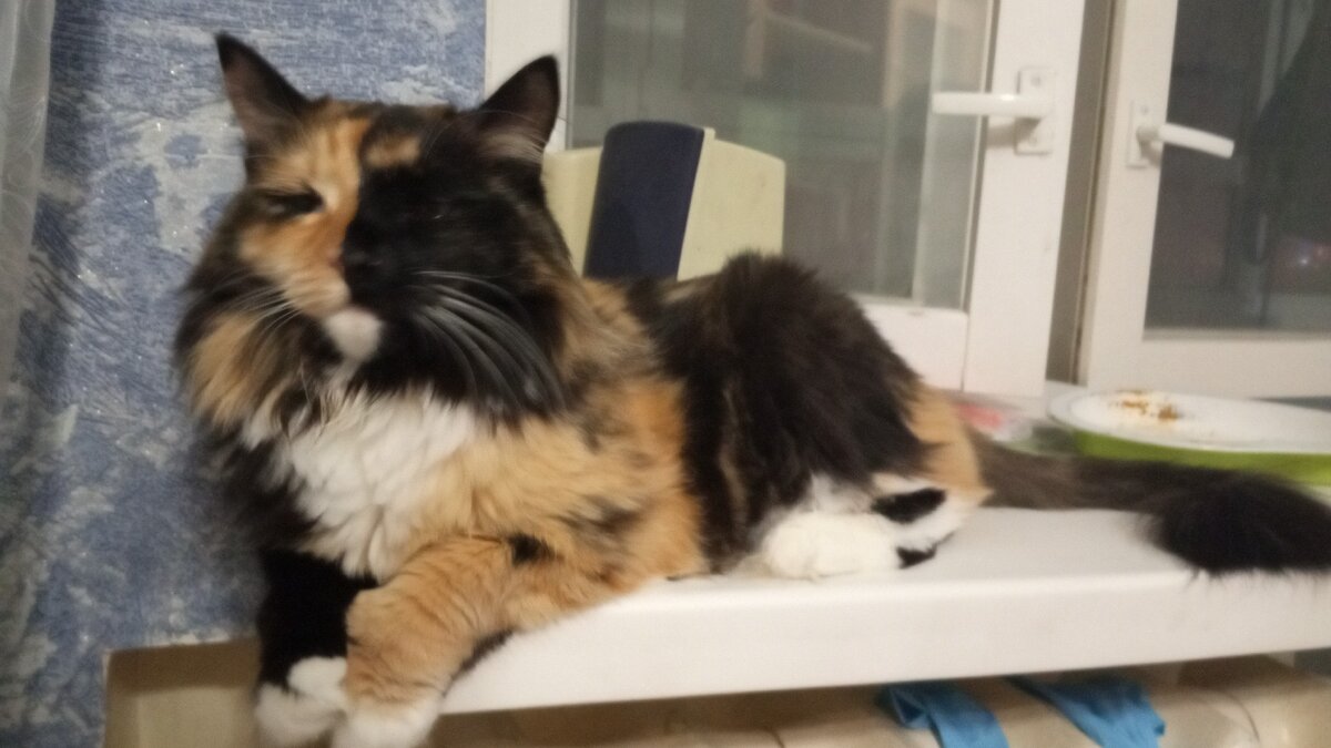 Это первое фото, которая она разрешила показать