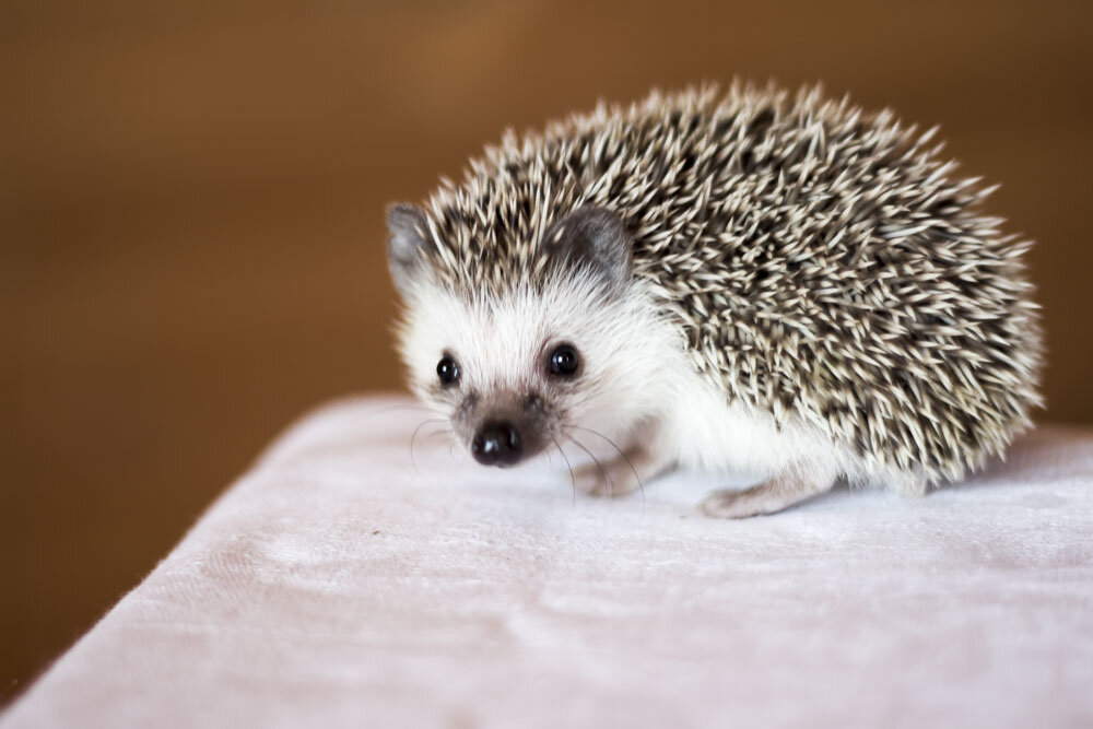 фото взято из открытых источников