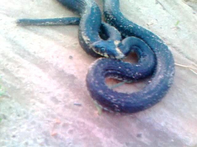 Уникальное фото из личного архива.