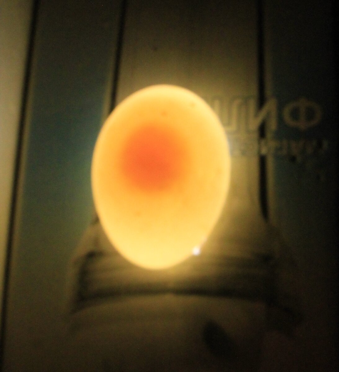утиное яйцо на просвет.                                                                                                      фото 1.