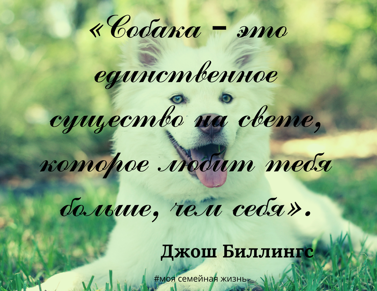 Согласны?