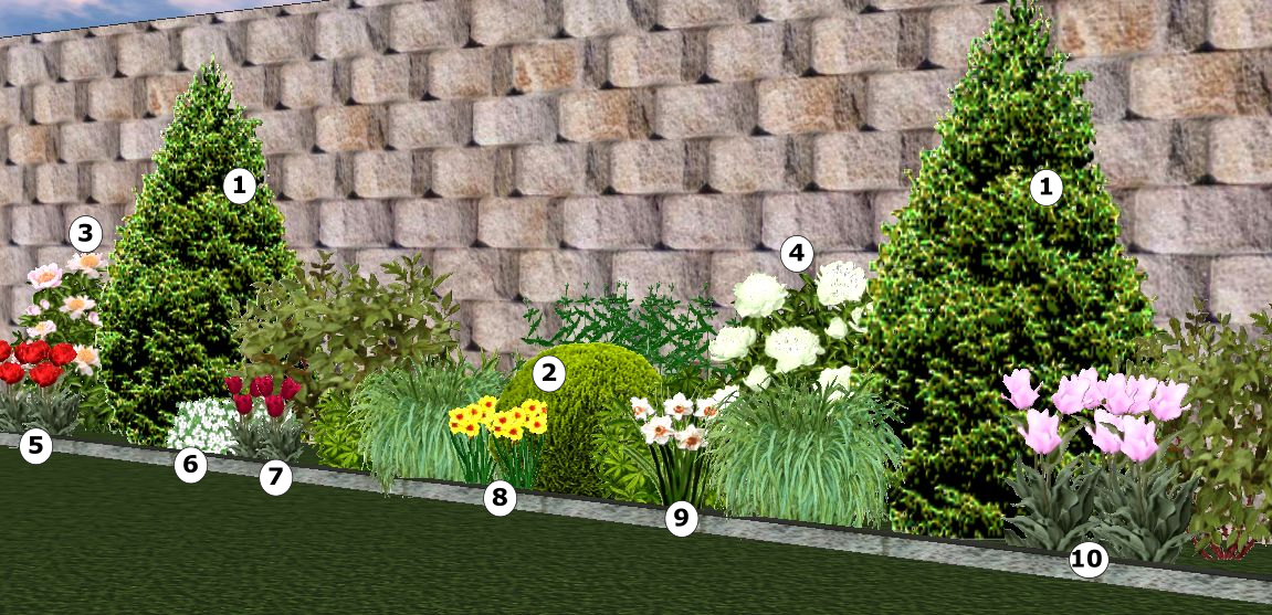 Май: 1- Туя западная Weimar, 2 - Туя шаровидная Даника, 3 - Пион Do Tell, 4 - Пион Nancy Nora, 5 - Тюльпан Emblazon, 6 - Иберис вечнозелёный, 7 - Тюльпан Wallflower, 8 - Нарцисс Altruist, 9 - Нарцисс Janis Babson, 10 - Тюльпан Elegant Lady.