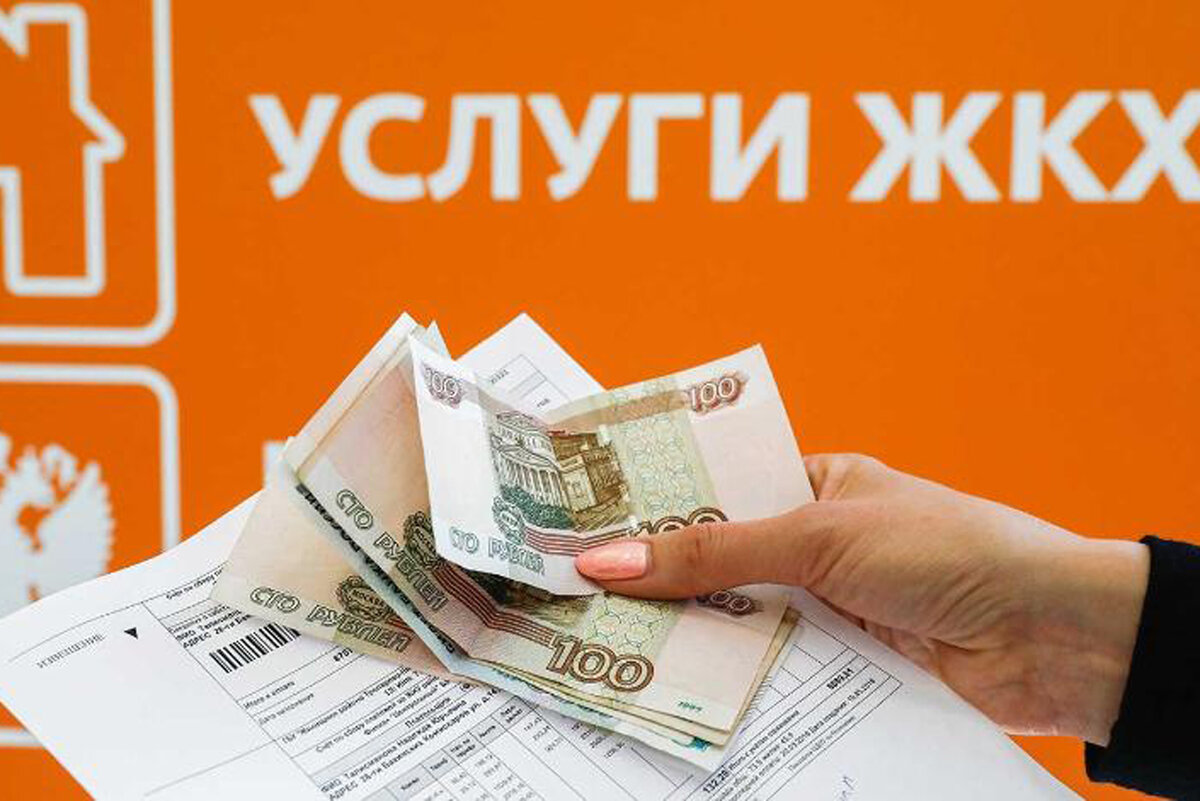 Фото взято из интернета.