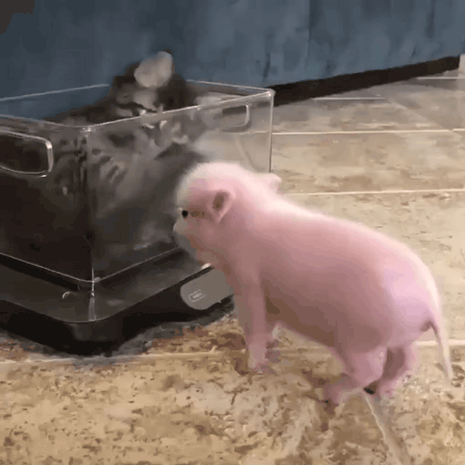 Нажми на картинку, чтобы посмотреть видео. Источник: Ютуб.