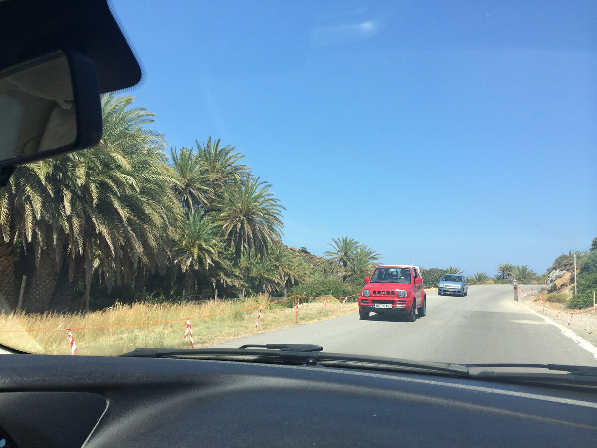 Уже на подъезде к пляжу встречаются пальмовые "перелески"