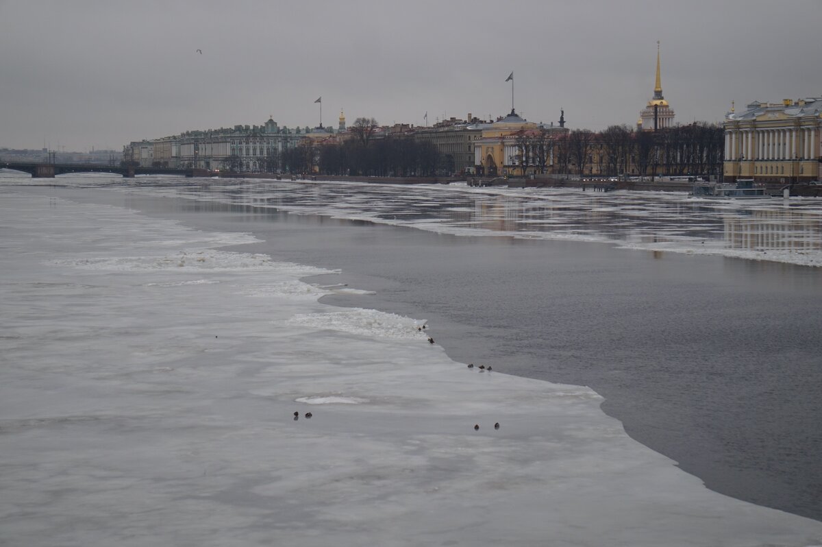 Нева зимой фото