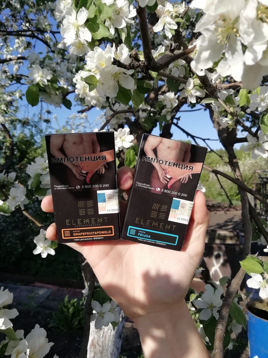 Фото табака 