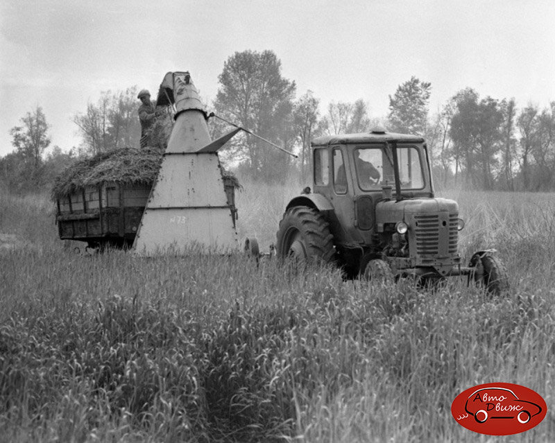 Совхоз «Ахтубинский», Среднеахтубинский район Волгоградской области, 1971 год
