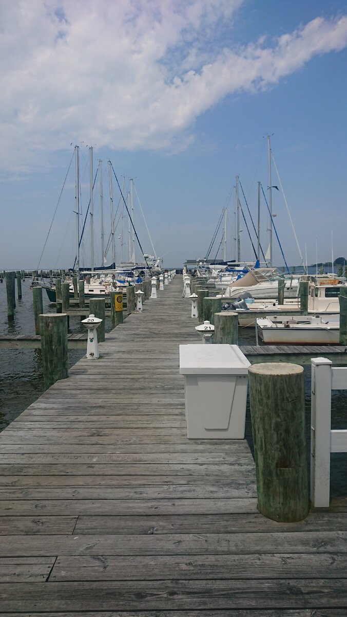 Наша марина