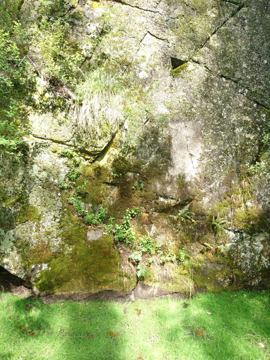 Живая фотозона. 