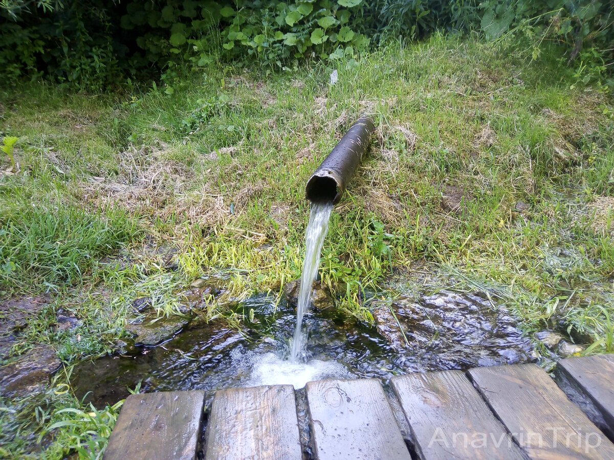 Волга бьет родник светлая вода из течет ручейком мал но быстро