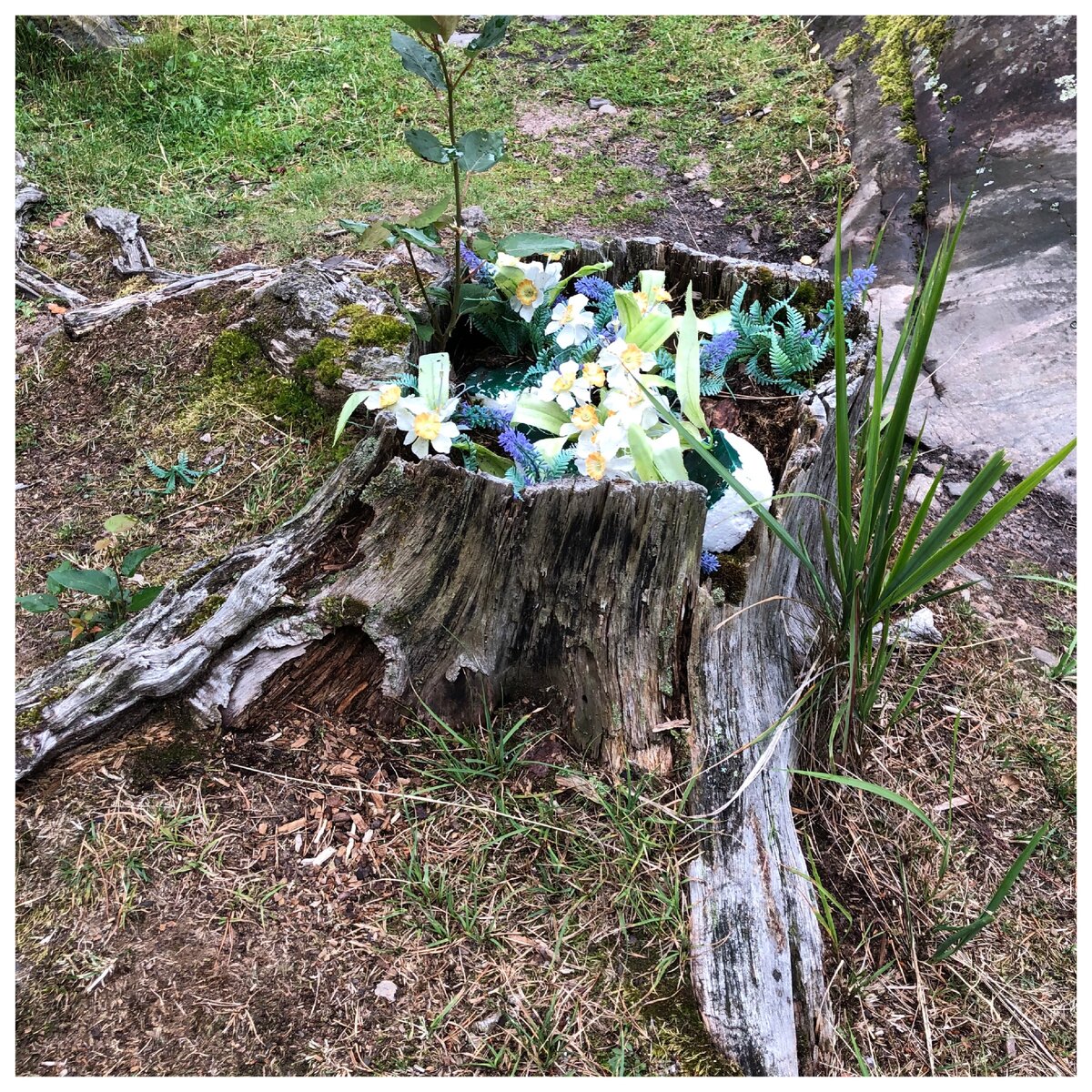 Интересная икебана