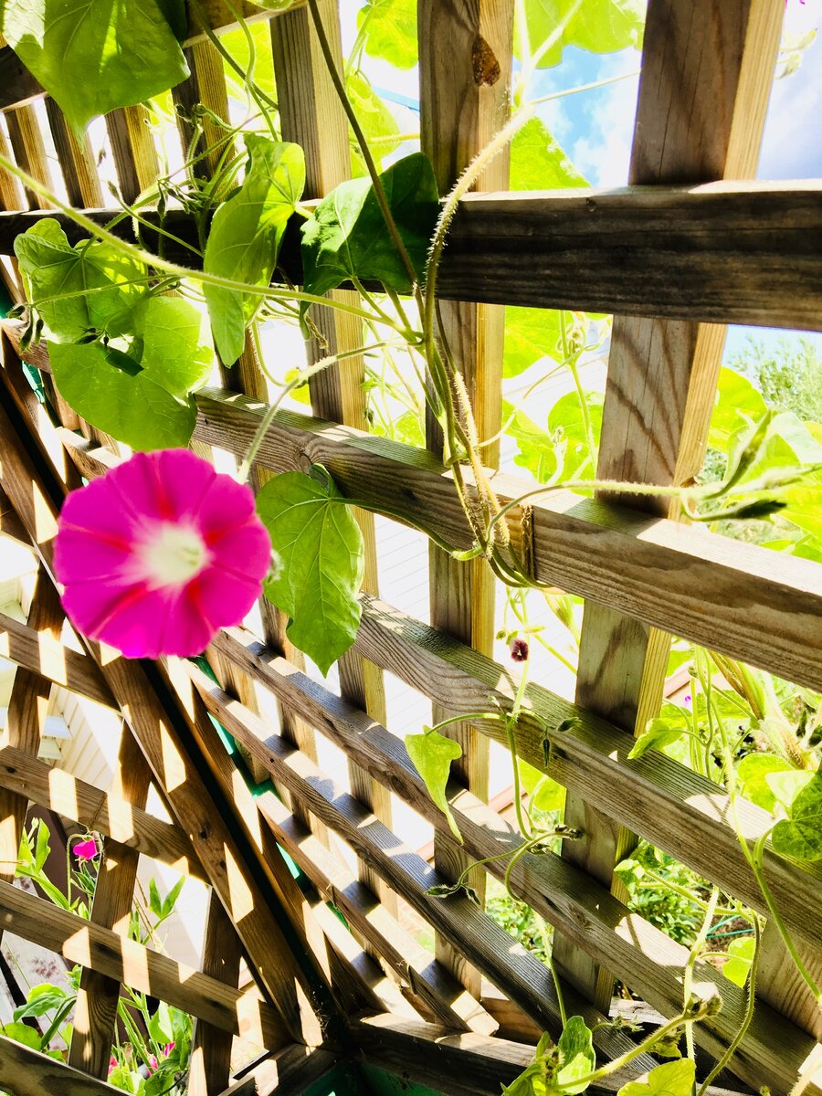 Как с помощью цветов изменить интерьер?