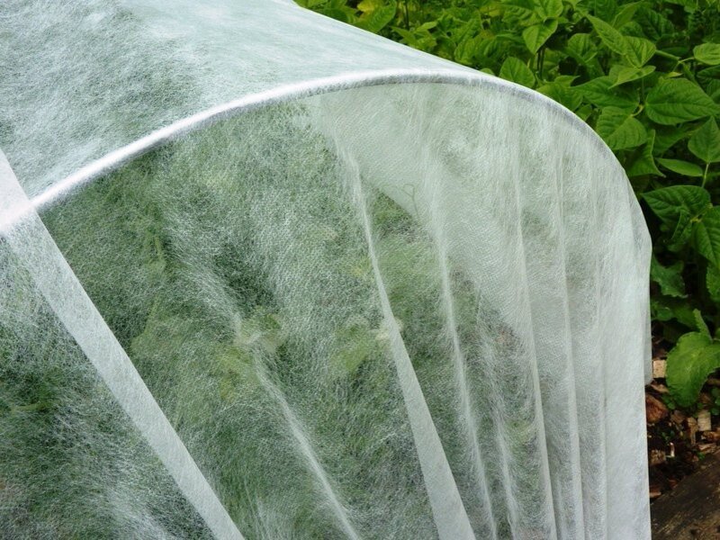 Фото из открытых источников.