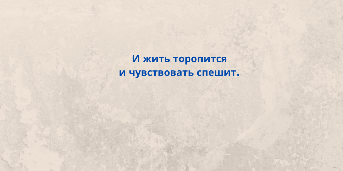 Эпиграф к первой главе "Евгения Онегина". (К.Вяземский)