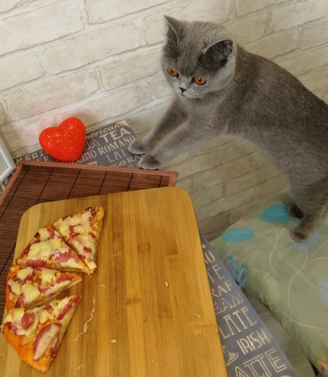 Пол пиццы уже нет)