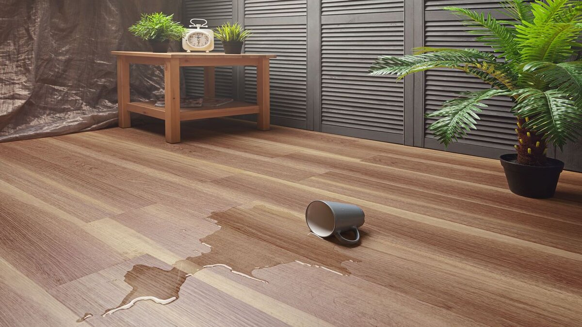 Яндекс.картинки