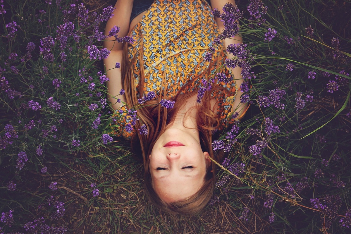 Изображение Free-Photos с сайта Pixabay 