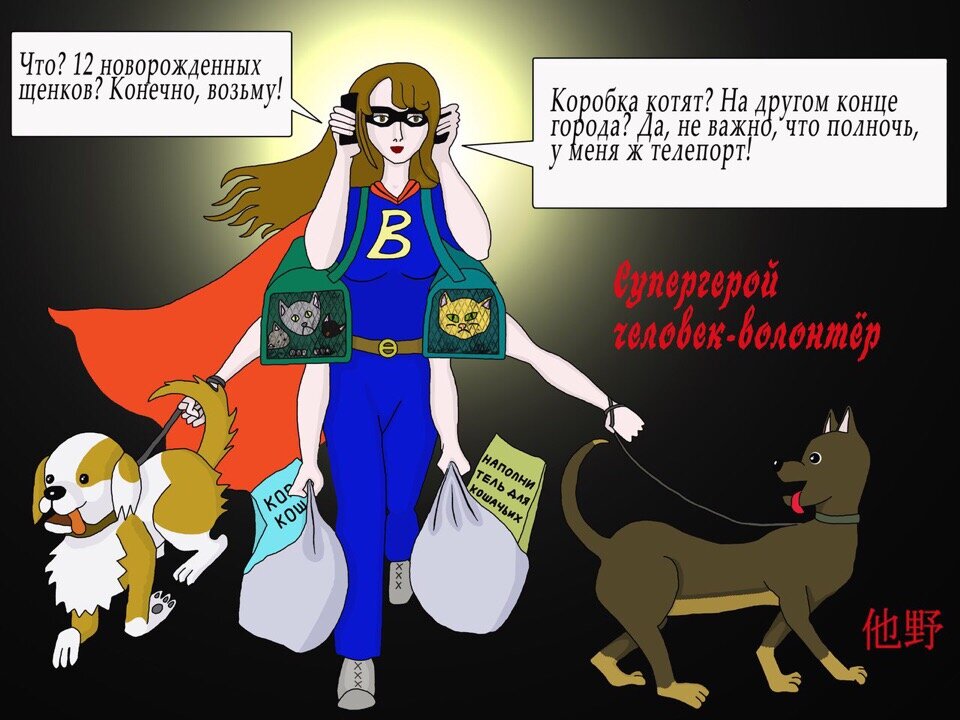 Так зооволонтера видят другие люди
