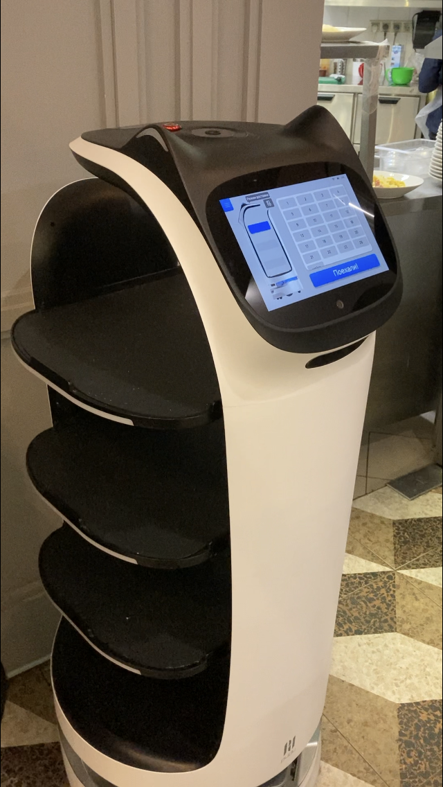 Кот-робот в «Шоколаднице»