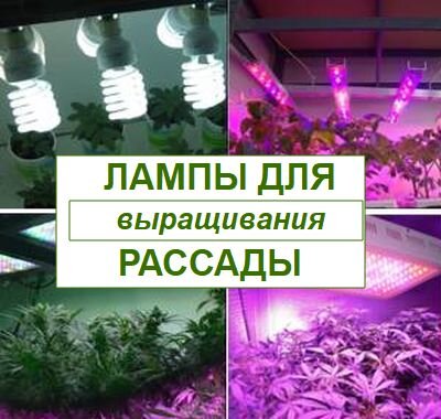 Подсветка для рассады: искусственное освещение изготовим самостоятельно