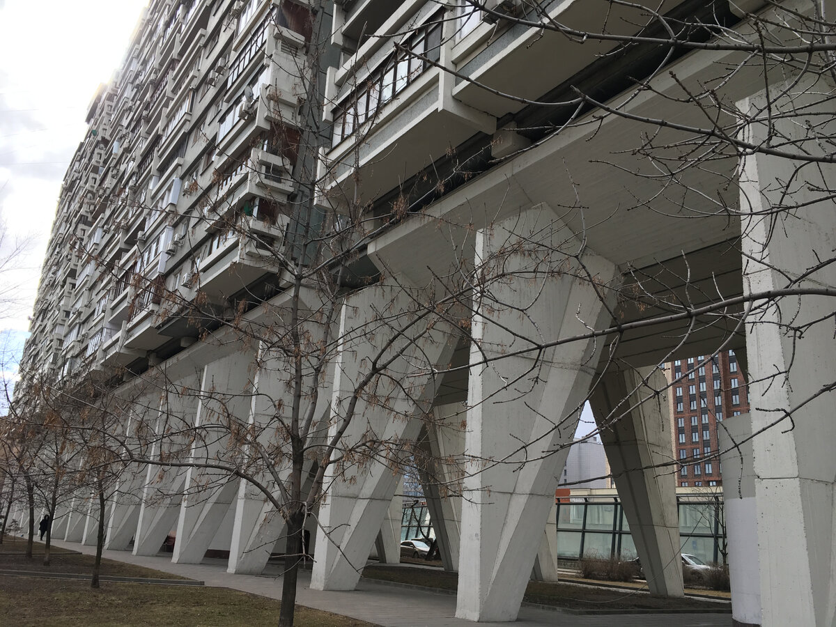 Все фото в галерее сняты автором этого поста