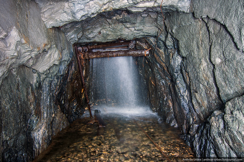 Шум воды приближался.