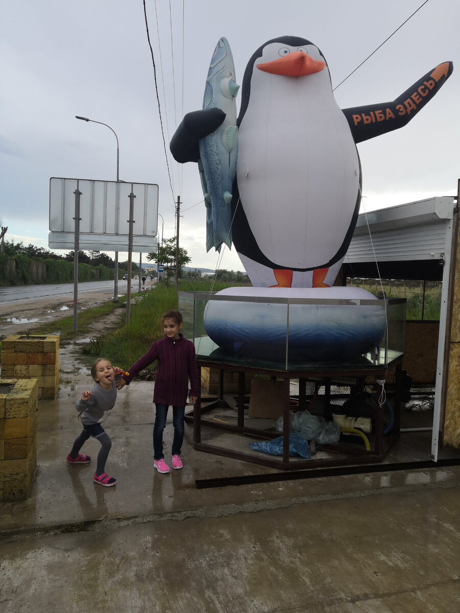 Фото сделано в день нашего приезда 9 июня 2021 года. (п. Береговое, Феодосия) На улице дождь, слякоть, холод. Термометр показывает 23, но по ощущениям, на улице 17-18 градусов. В номерах гостиницы, где мы остановились, жуткая сырость.