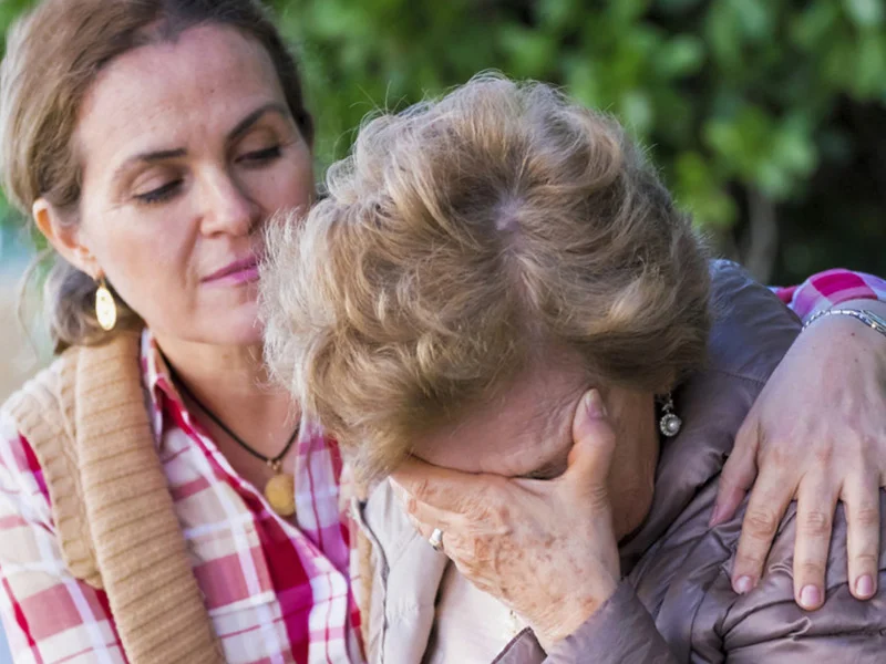 Фото из свободных источников