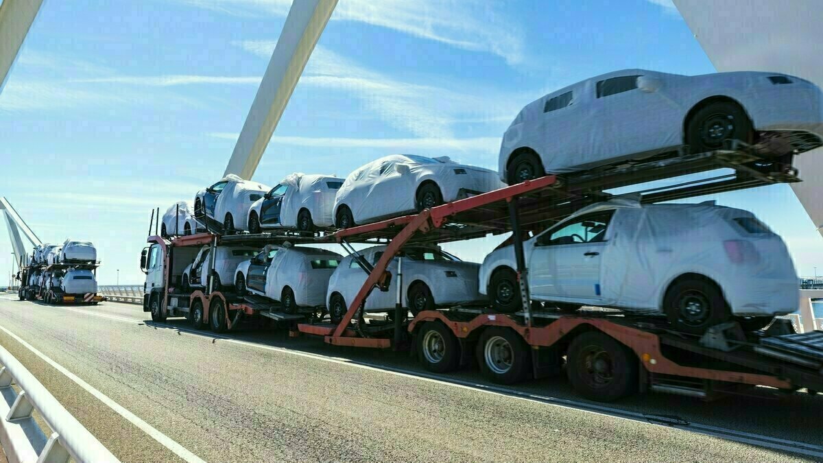 Добавьте описание