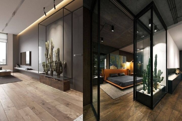 Кактусы в прозрачных колоннах