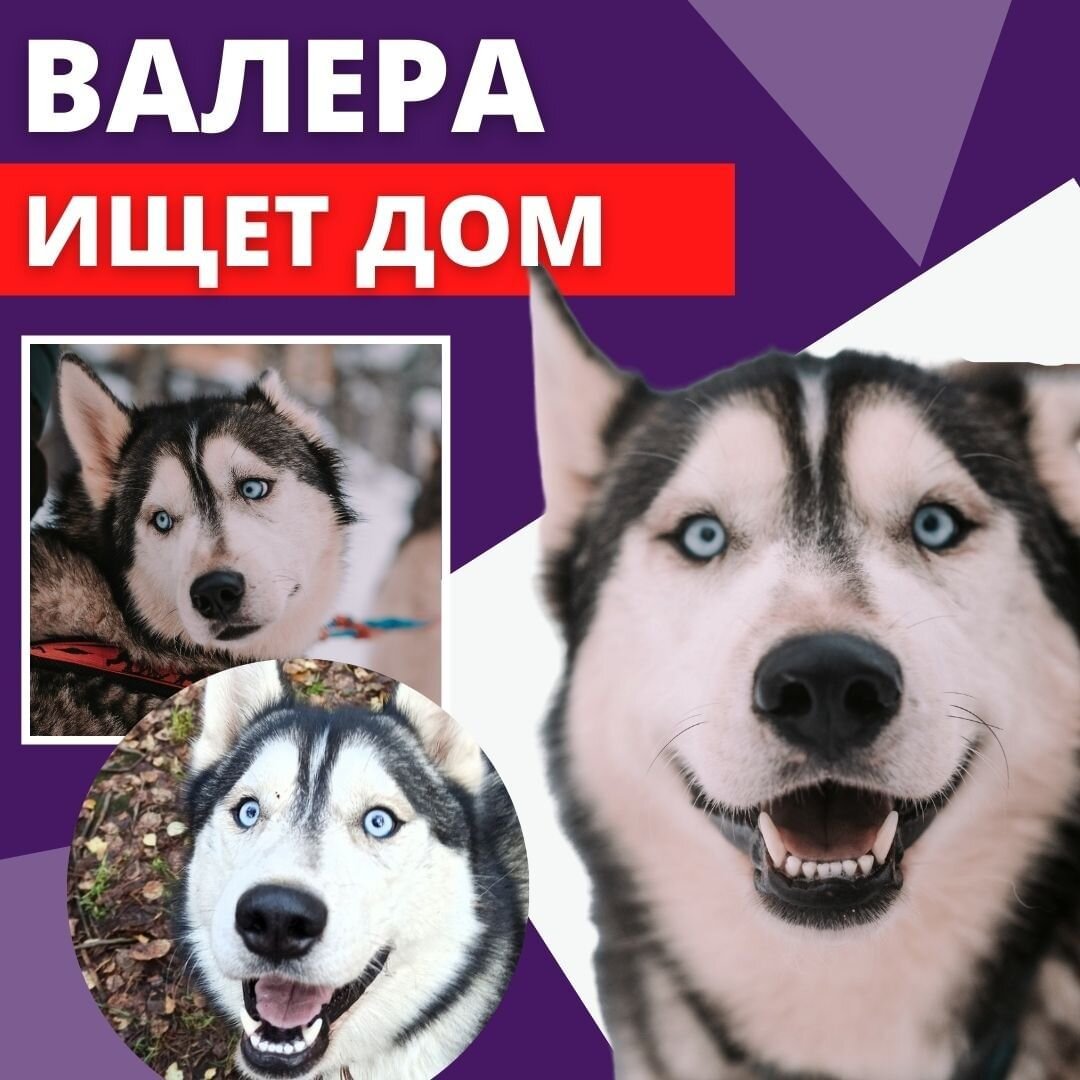 Валера