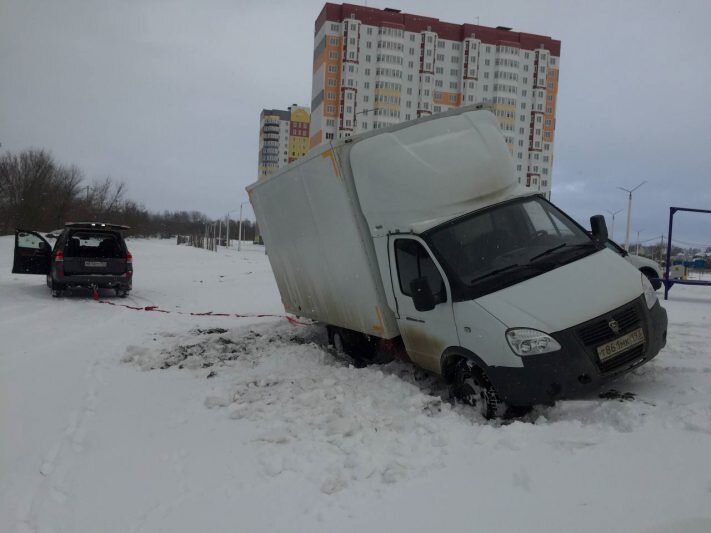 Сонник — к чему снится хвост