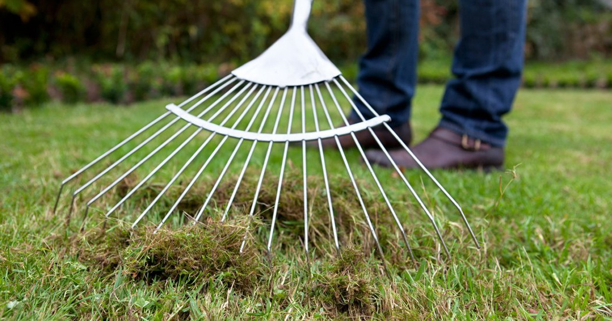 Вычесывание травы