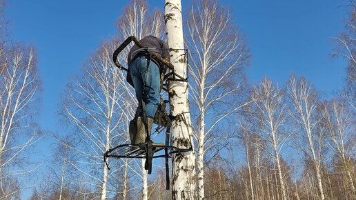 ОХОТА с тристенда // ТРИСТЕНД для охоты с луком // Охота на оленя с тристенда