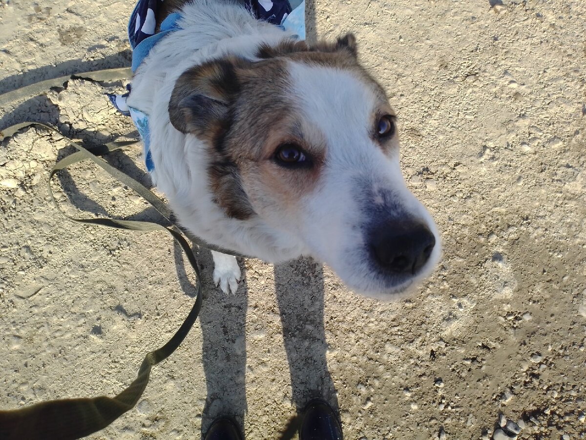 Ася в  первые дни у нас.