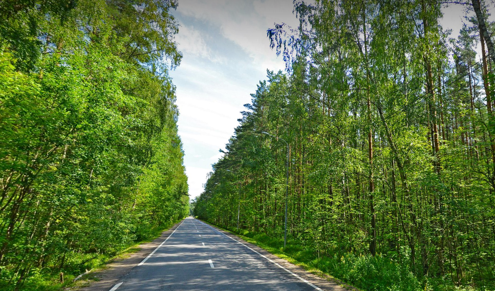 Новоорловский заказник отлично подходит для пеших и велосипедных прогулок  