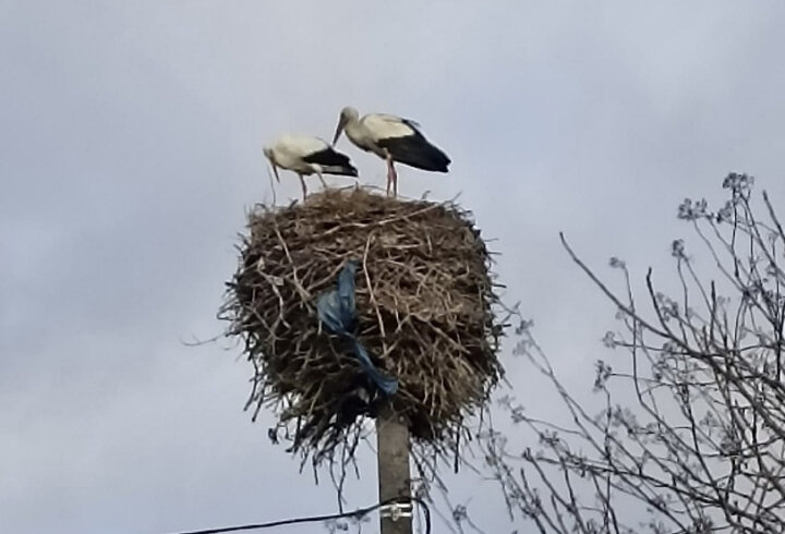 Людмила Нещадим во "ВКонтакте"