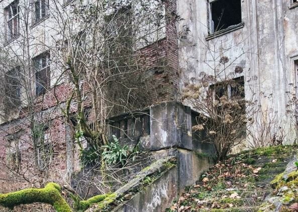 Свободный источник