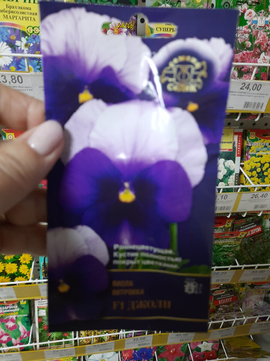 Доброе утро анютины глазки