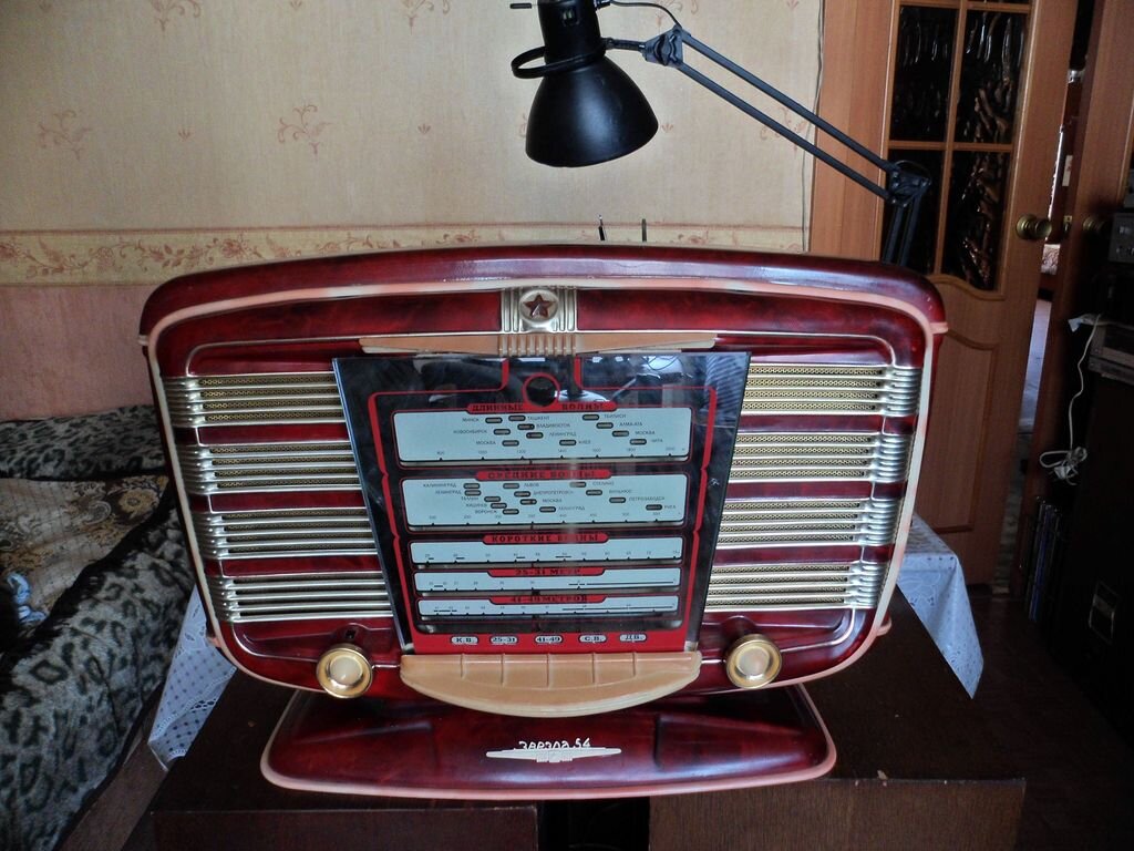 красавица Звезда 54