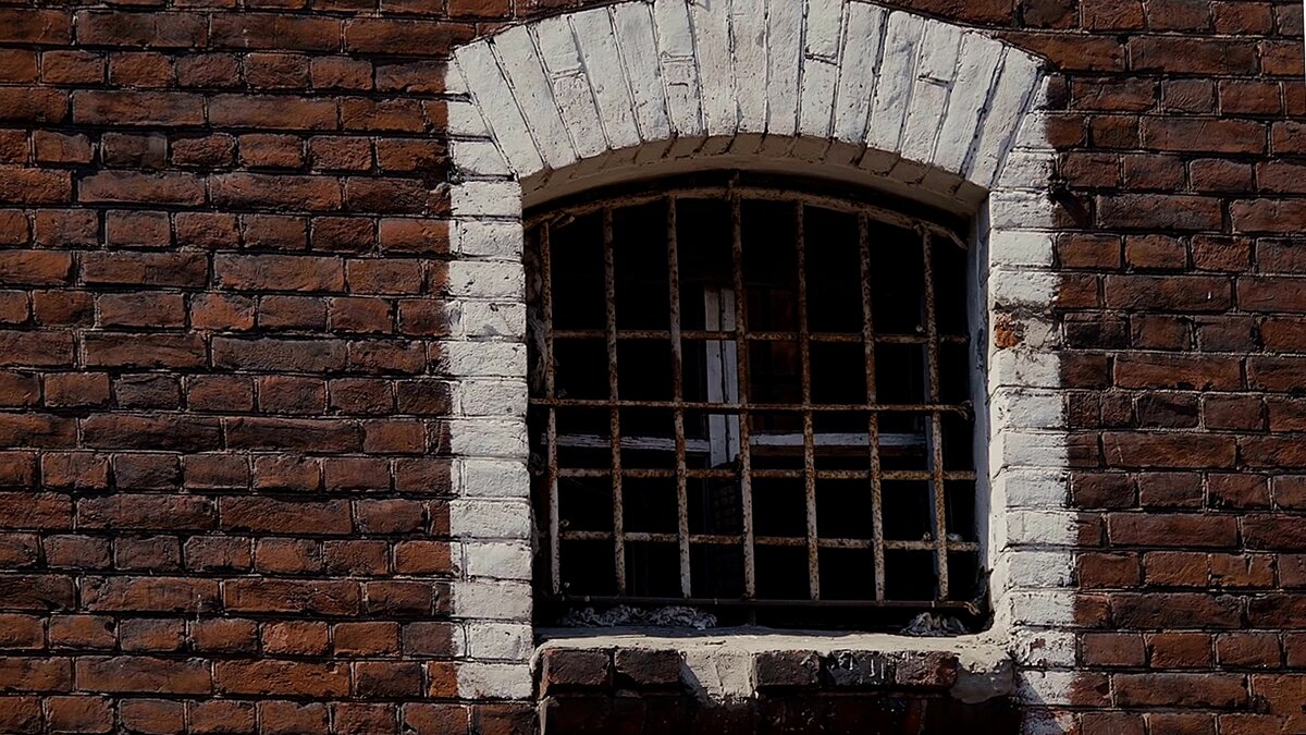 Сажать или нет, к сожалению, этот вопрос стоит у нас в стране остро.