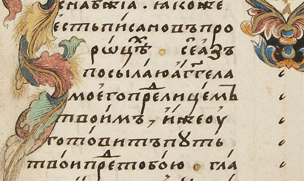 Полуустав. Источник: Яндекс картинки