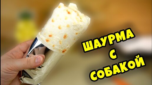 ШАУРМА ИЗ СОБАК!? БУРИТО С СОБАЧАТИНОЙ?!  ШАВЕРМА С ПЕСИКОМ?! Cutetitos - НАСТЕДНИК  Sweet Pups