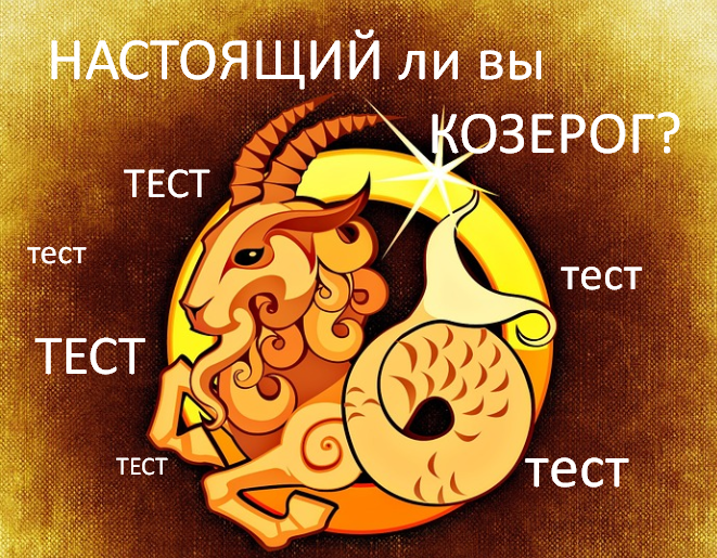 Фото с открытого источника, сайт pixabay.com