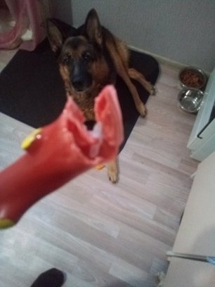 Флеш